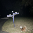 I am standing in the same spot for both these pictures.  I used a flash for the one on the left.  I have submitted a blog post to generate interest for additional lighting (street lights, lampposts, etc.) our roads, parks and recreational areas as needed in our neighborhood.  Thanks,Elaine